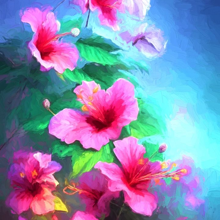 Florida hibiscus garden